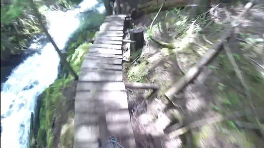 BaldFace MTB